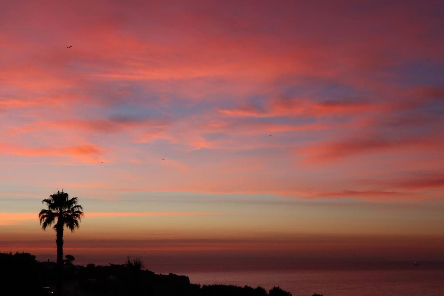 Sea View W Pool, Terrace & Parking Apartment Cascais Exterior photo